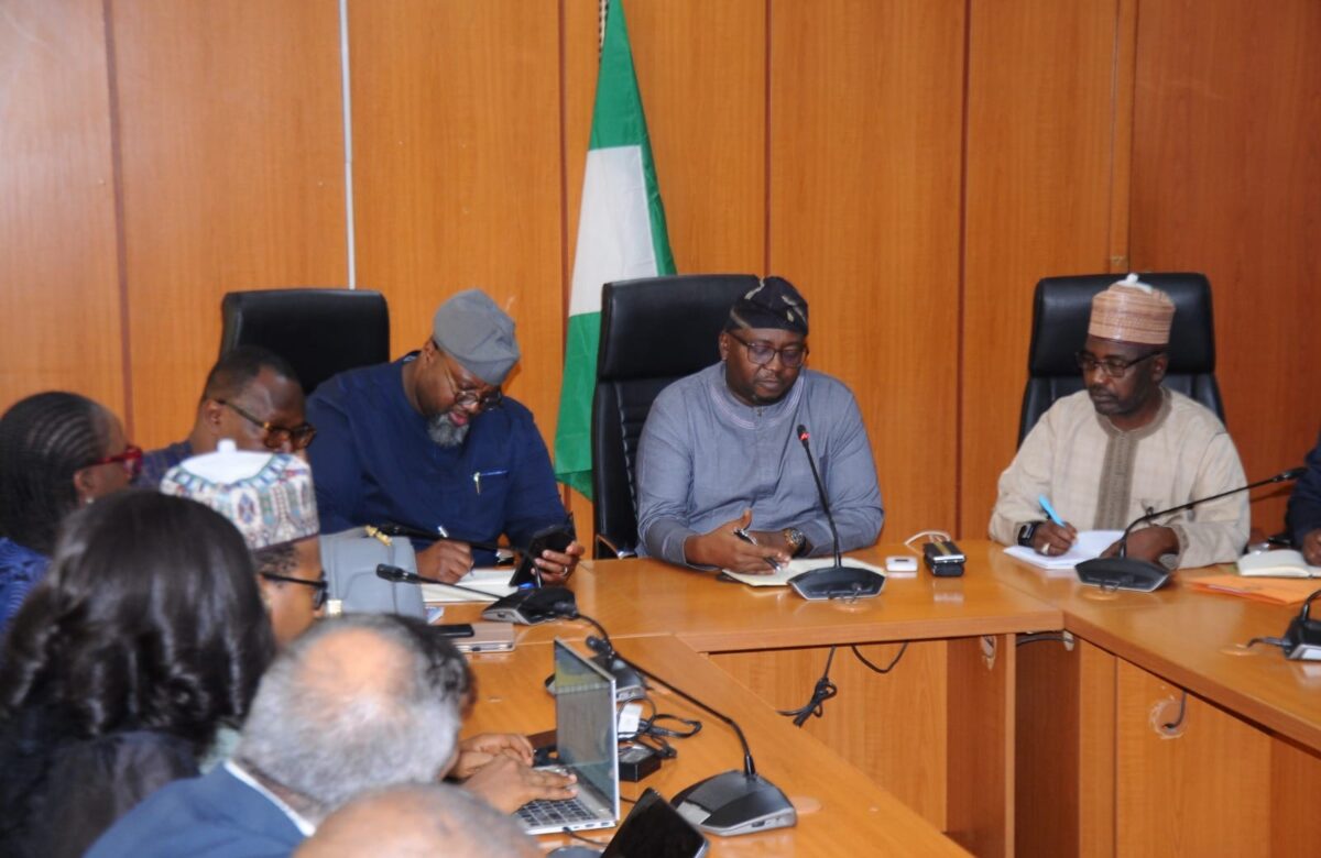 Power Outages: Adelabu constitutes power committee to address unpaid debts, low gas supply