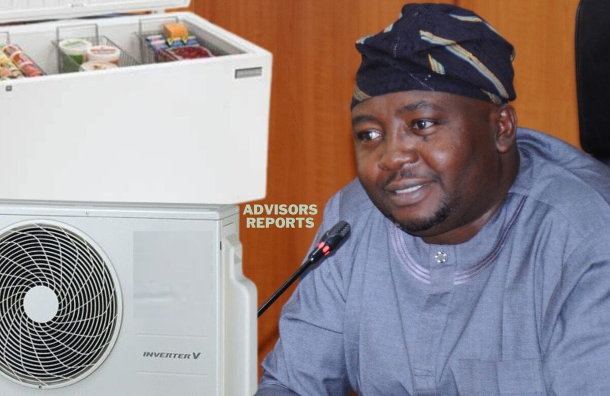 Electricity tariff hike: Adelabu apologises for ‘Freezer/AC’ comments, says  “I didn’t mean to insult Nigerians 