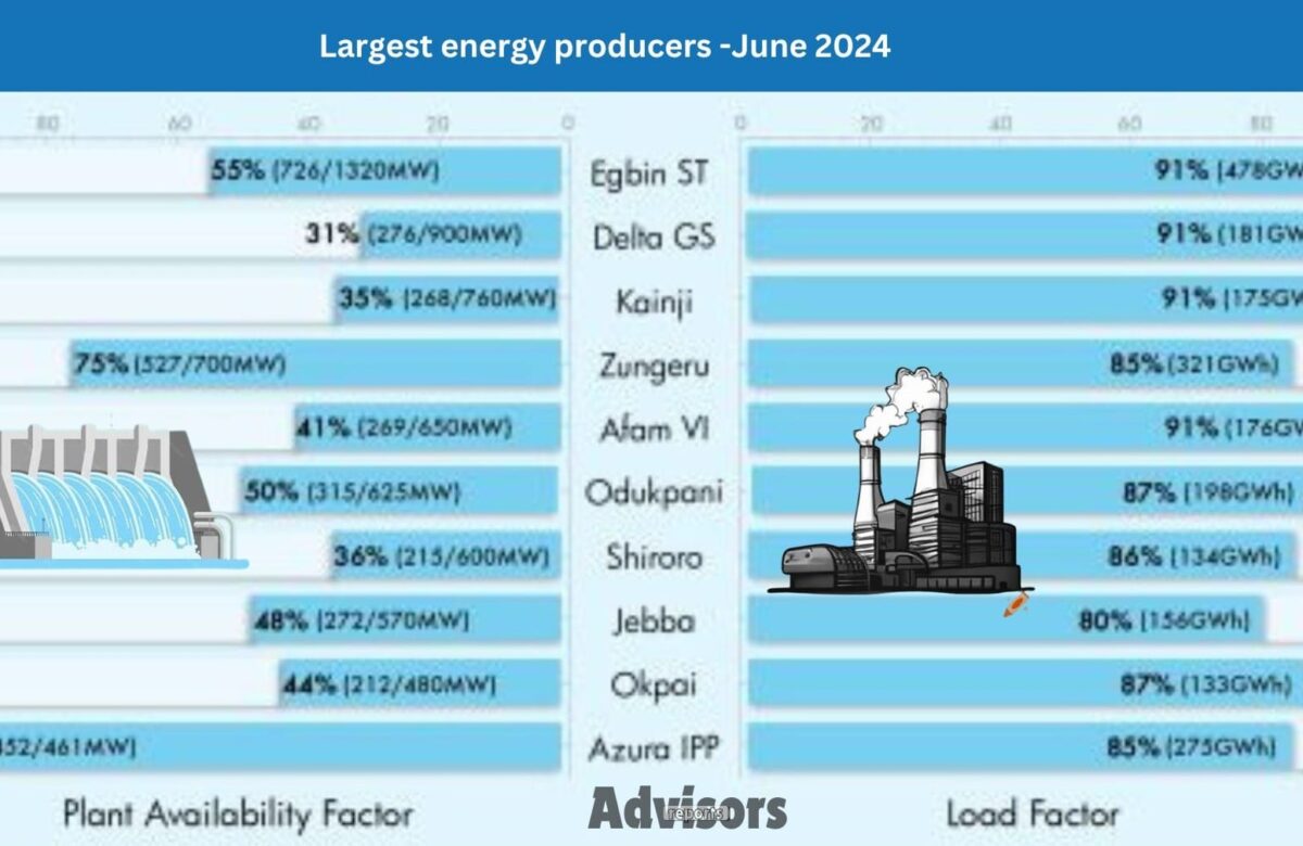 Nigeria’s 28 grid-connected power plants struggle with low 33% availability factor as of June 2024   
