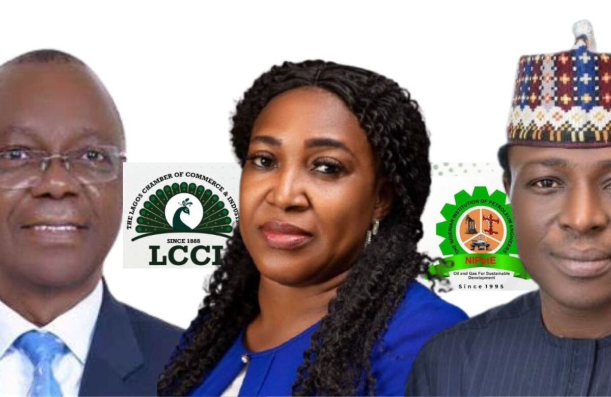 Energy experts advocate strategic balance of low-carbon technologies, oil & gas in Nigeria’s energy, economic development