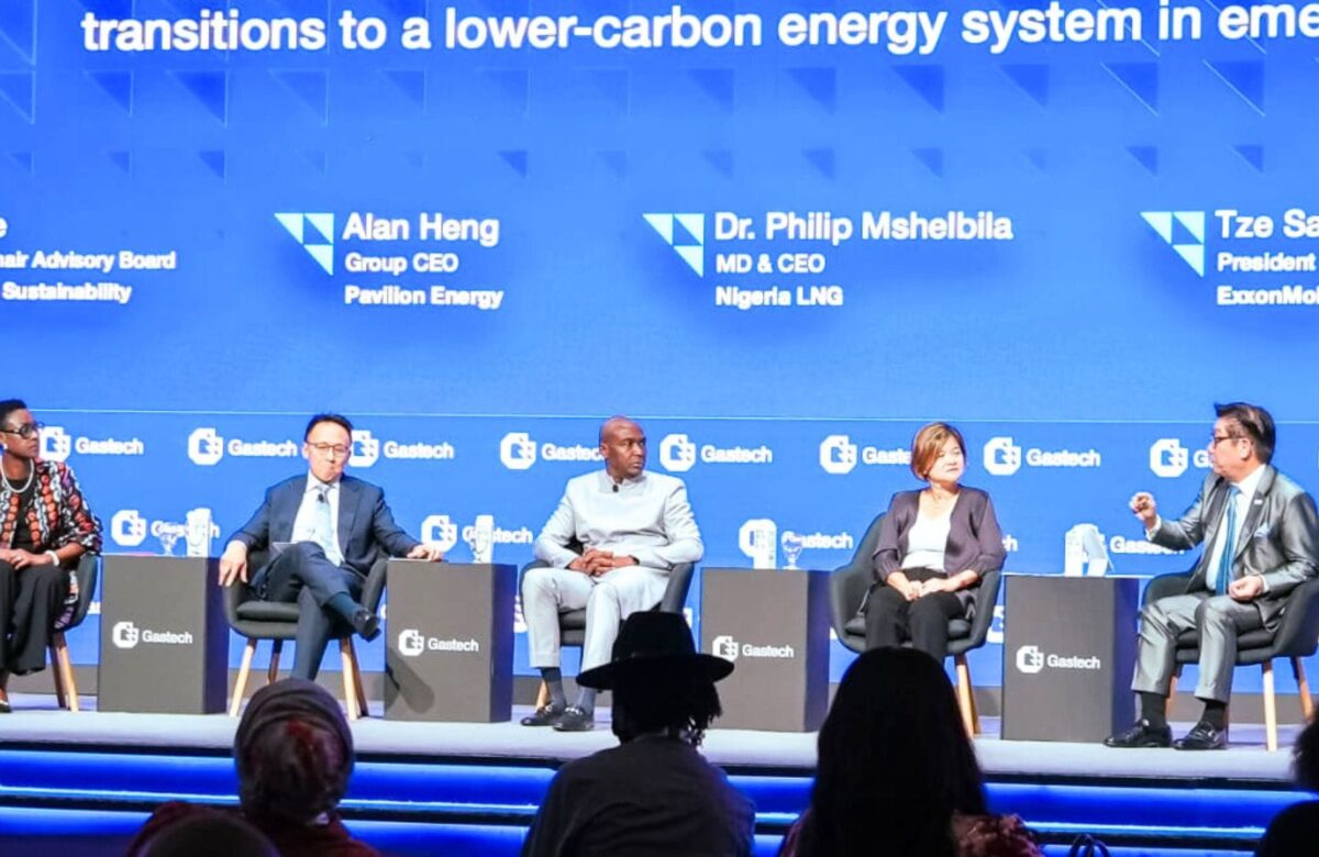 NLNG MD/CEO underscores energy exclusion risks, calls for investment in infrastructure, energy equity to achieve climate goals