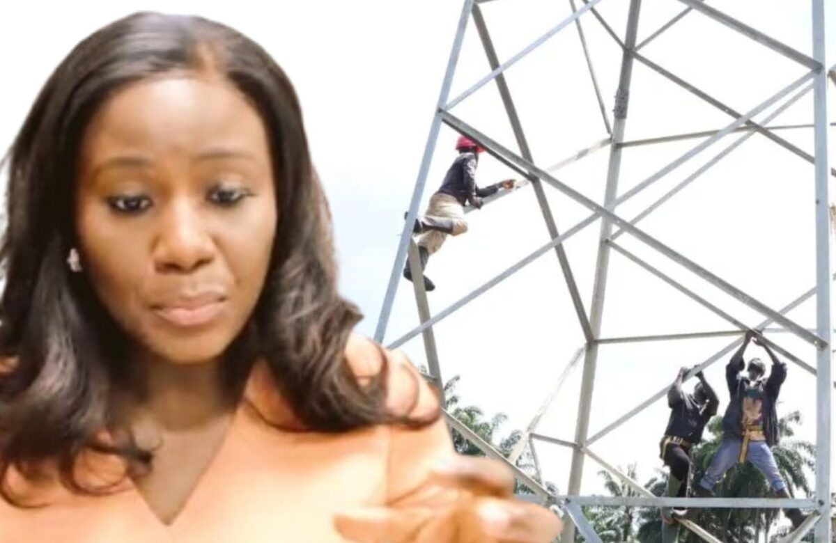 Rampant dismantling of transmission towers for steel sales by vandals, cause of frequent grid collapses – Tinubu’s Adviser Verheijen