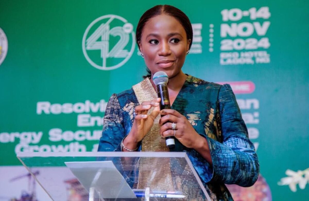 Nigeria to access 20% of $90bn global financing for deepwater projects, targeting 1.3bn boe – Verheijen, S.A Energy to Tinubu