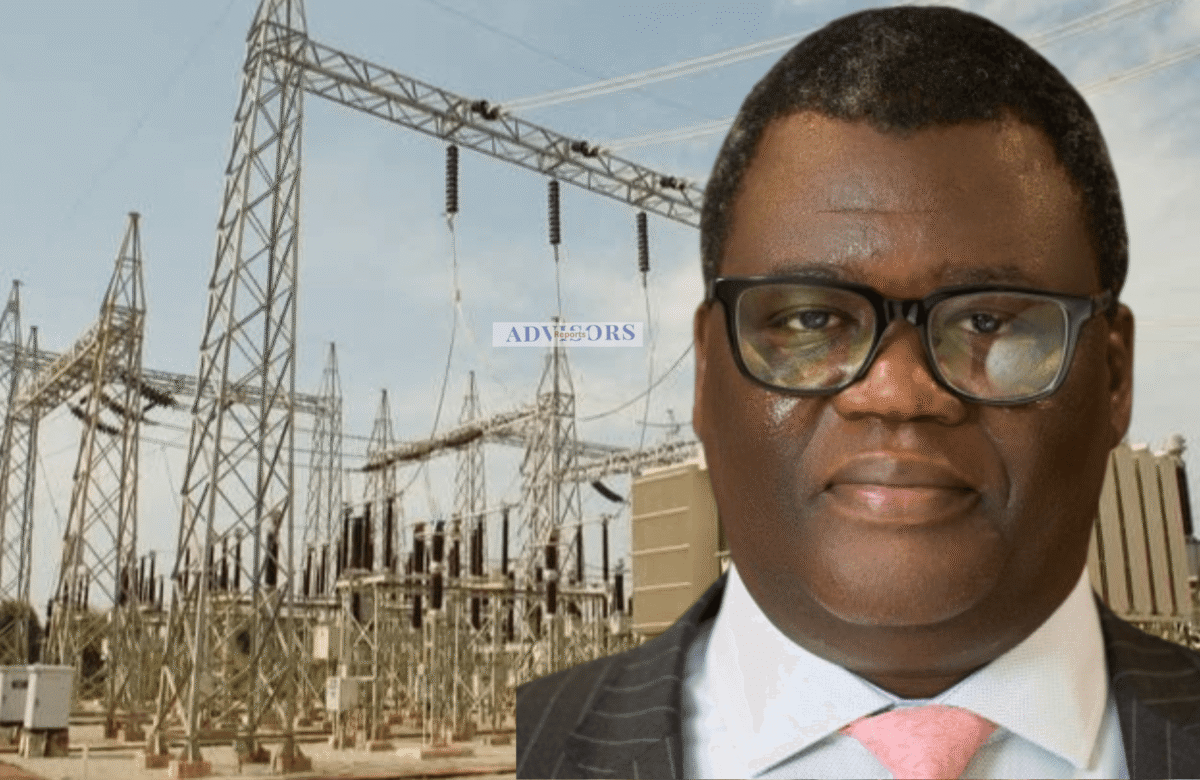 Float DisCos on stock market, end World Bank-loan guarantees for power sector – Damcida tells FG