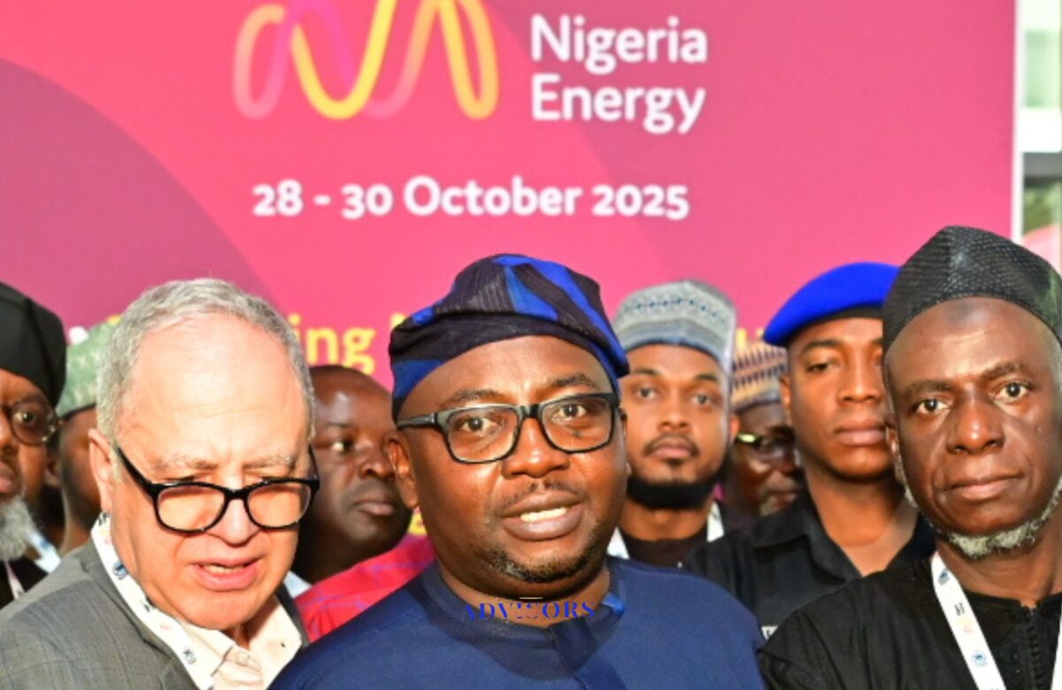 FG to introduce minimum capital requirement for DisCos ahead of 2028 licence renewal