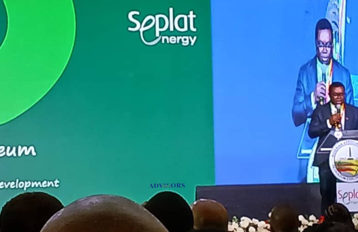 Seplat CEO warns: 400m Nigerians projected by 2050, 70m without electricity